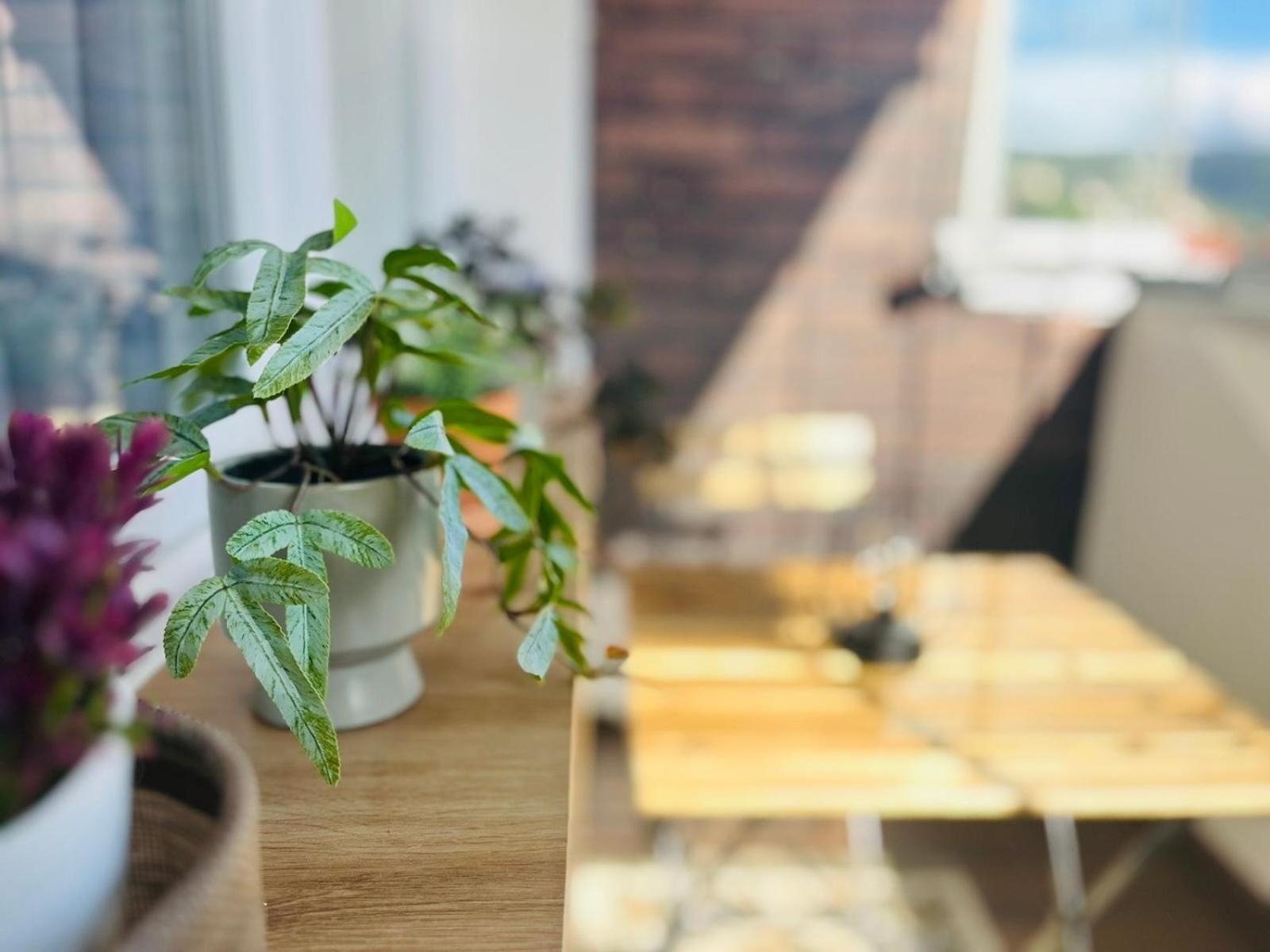 Mak Apartment - Free Parking - Balcony SJJ Eksteriør billede